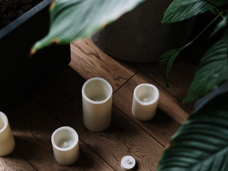 Minimalist yoga studio with wooden floor and green plants.